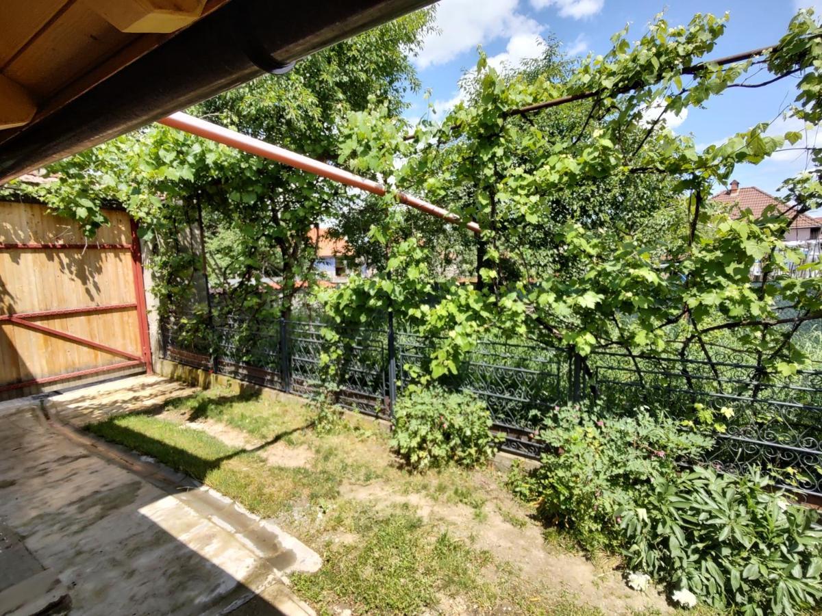 La Tataia Zahei Hotel Dragus Exterior foto